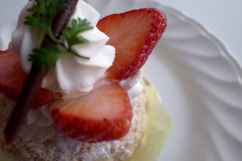 sweets03.jpg
